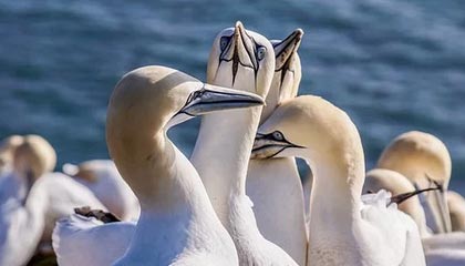 欧亿体育娱乐-姆巴佩发文告别阿隆索，盛赞其思路清晰、感谢信任与指导