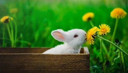 欧亿体育娱乐-纵横娱乐新纪元:yl23455永利官网带你领略极致体验